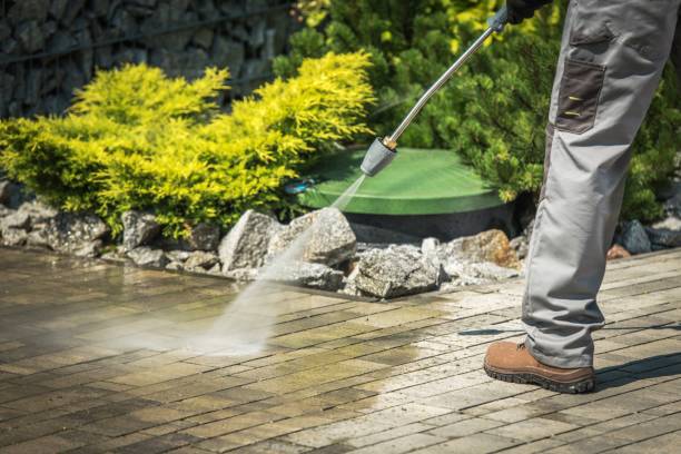 Best Winterizing Services  in Quinlan, TX